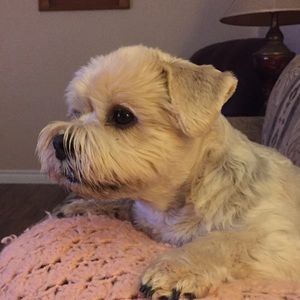 Meet your Posher, Cathy